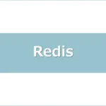 redis-handson1