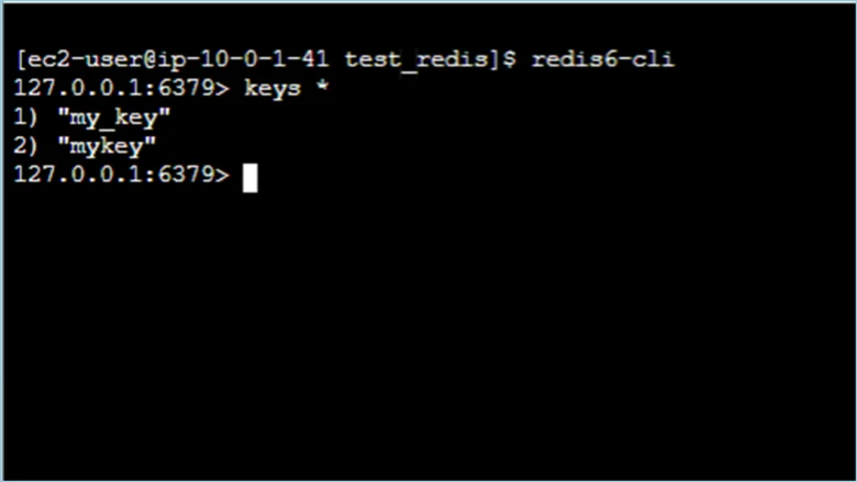 redis-handson34